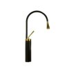 Vòi lavabo nóng lạnh CREVA đồng thau mạ đen vàng CR-260